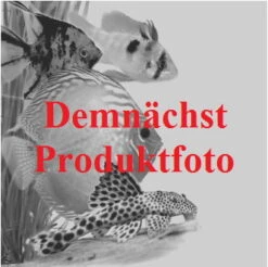 UVC Lampe PL 55 Watt UV-C Wasser-Klärer Ersatzröhre Teichfilter