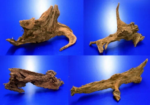 Mangroven-Wurzel Gr. L / 30 - 40 Cm Mangrovenholz -Bio Dekor Geschäft 400731wf 1 1