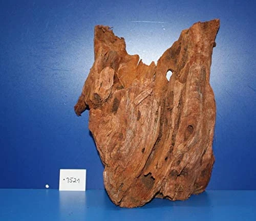 XL Mangroven-Wurzel 30x35x17 Unikat - Traumwurzel #1521 -Bio Dekor Geschäft W1521 1