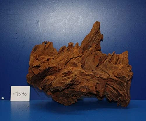 XL Mangroven-Wurzel 30x24x22 Unikat - Traumwurzel #1540 -Bio Dekor Geschäft W1540 1