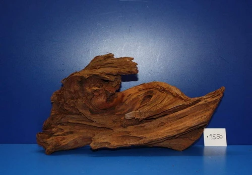 XL Mangroven-Wurzel 40x23x17 Unikat - Traumwurzel #1550 -Bio Dekor Geschäft W1550 1